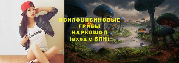 мдпв Костерёво