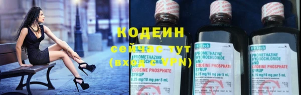 мдпв Костерёво