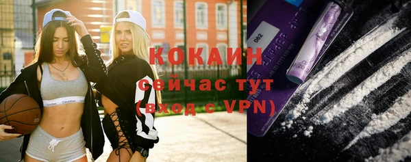 мдпв Костерёво
